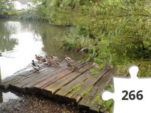 Jigsaw puzzle - 16 Hjerte-turen