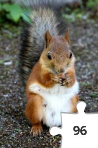 Jigsaw puzzle - Kurre