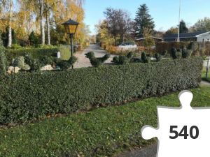 Jigsaw puzzle - # 31 Stjernen