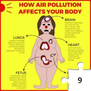 Jigsaw puzzle - Heal the World #44