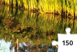 Jigsaw puzzle - 20190617_210551