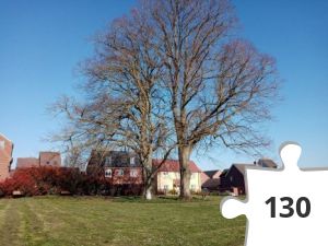 Jigsaw puzzle - IMG_20200325_153243_resized_20200325_075408274 (1)