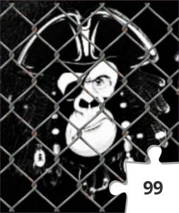 Jigsaw puzzle - GC85Z6G Affenkäfig