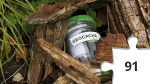 Jigsaw puzzle - Hiding in Nature