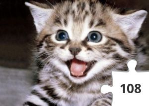 Jigsaw puzzle - gatin