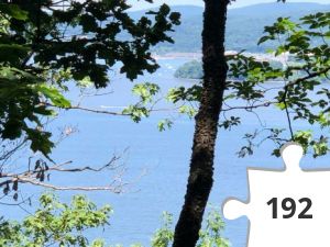 Jigsaw puzzle - Croton Point Park