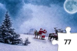 Jigsaw puzzle - 15-12I