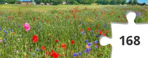 Jigsaw puzzle - flowers