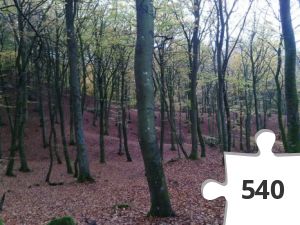 Jigsaw puzzle - 5 Hjerte-turen