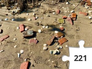 Jigsaw puzzle - The shore not far from here