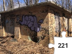 Jigsaw puzzle - The Water Tower?