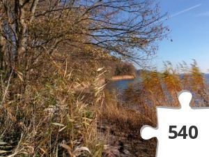 Jigsaw puzzle - # 48 Stjernen