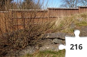 Jigsaw puzzle - Mystery lite