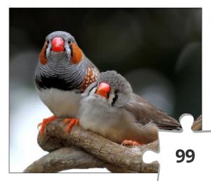 Jigsaw puzzle - a fine pair