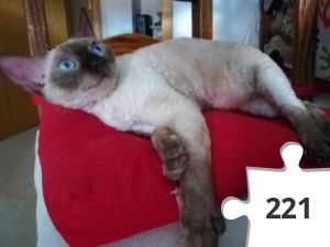 Jigsaw puzzle - 2