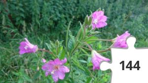 Jigsaw puzzle - puslerier 2