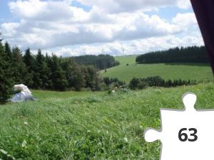 Jigsaw puzzle - Belgien
