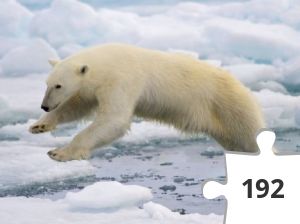 Jigsaw puzzle - Heal the World #10