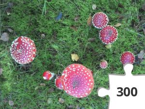 Jigsaw puzzle - Fliegenpilz