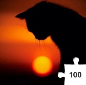 Jigsaw puzzle - GATO.jpg