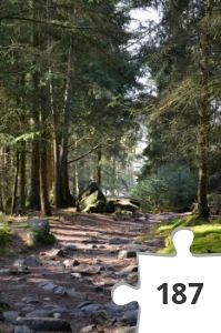 Jigsaw puzzle - Nr.27 Påskenøtt