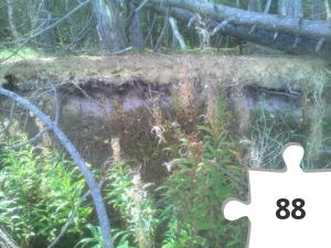 Jigsaw puzzle - Natur