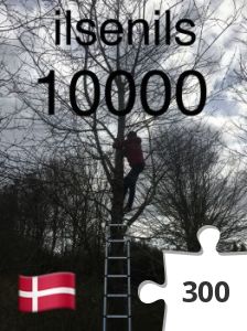 Jigsaw puzzle - 10000 fundne cache.