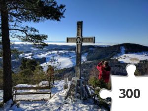 Jigsaw puzzle - IMG_20161231_100740