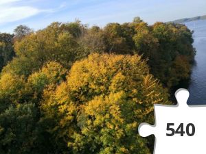 Jigsaw puzzle - # 39 Stjernen