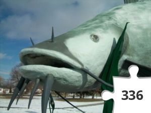 Jigsaw puzzle - catfish (3).jpg