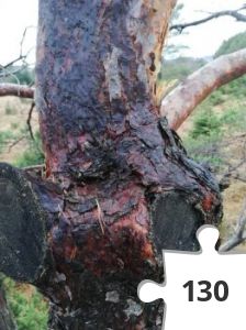 Jigsaw puzzle - IMG_20191220_133721