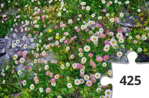 Jigsaw puzzle - Puzzle12_Amalfi