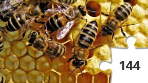 Jigsaw puzzle - Heal the World #68