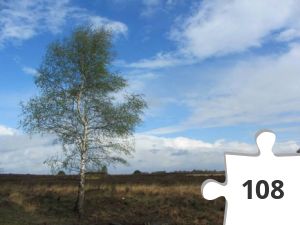 Jigsaw puzzle - DDVK 05
