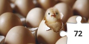 Jigsaw puzzle - http___i_huffpost_com_gen_1403230_images_o-MANAGING-EXPECTATIONS-facebook