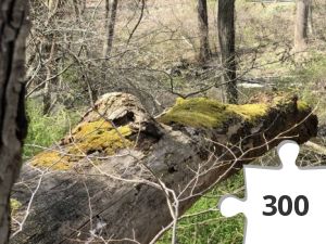 Jigsaw puzzle - McAndrews Estate is so cool!