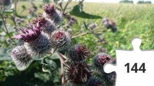 Jigsaw puzzle - puslerier 11