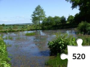 Jigsaw puzzle - IKFE07