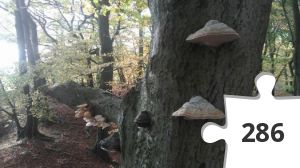 Jigsaw puzzle - 6 Hjerte-turen