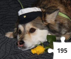 Jigsaw puzzle - Ylioppilas Moona