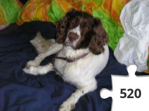 Jigsaw puzzle - Harvey