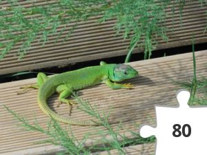 Jigsaw puzzle - DDVK 07