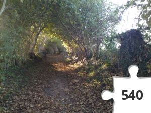 Jigsaw puzzle - 15 Hjerte-turen