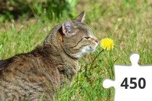 Jigsaw puzzle - Puzzle