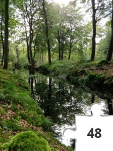 Jigsaw puzzle - #37 ZW FRL Puzeeltrail