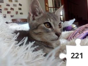 Jigsaw puzzle - 8.jpg