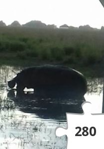 Jigsaw puzzle - 20190525_164658-1