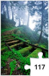 Jigsaw puzzle - A Beautiful Track to Nowhere