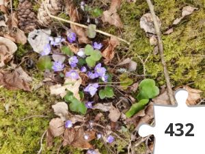 Jigsaw puzzle - Klocksbergs Pysselrunda #08