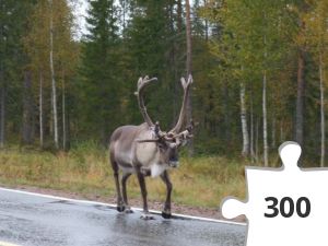 Jigsaw puzzle - Rentier